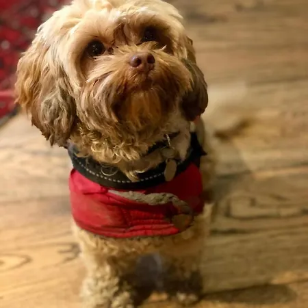 The Wheatsheaf At Beetham Otel Sandside (Beetham)