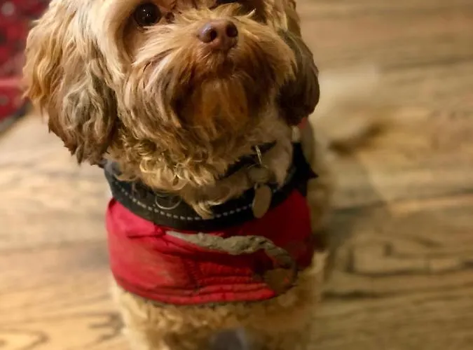 The Wheatsheaf At Beetham Hotel Sandside (Beetham)