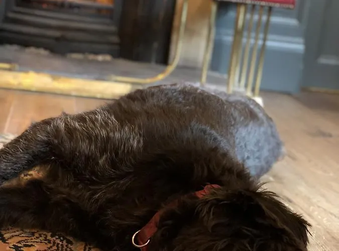 Hotel The Wheatsheaf At Beetham 3*